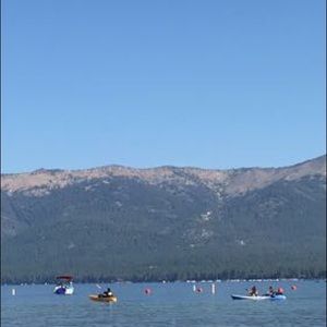 Meet your Posher, Lily